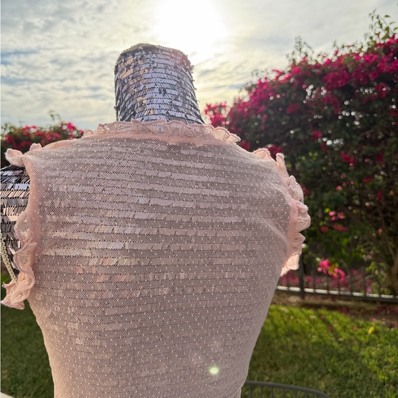 Vintage Pink Sheer Ruffle Button-Down Top - Picture 4 of 5